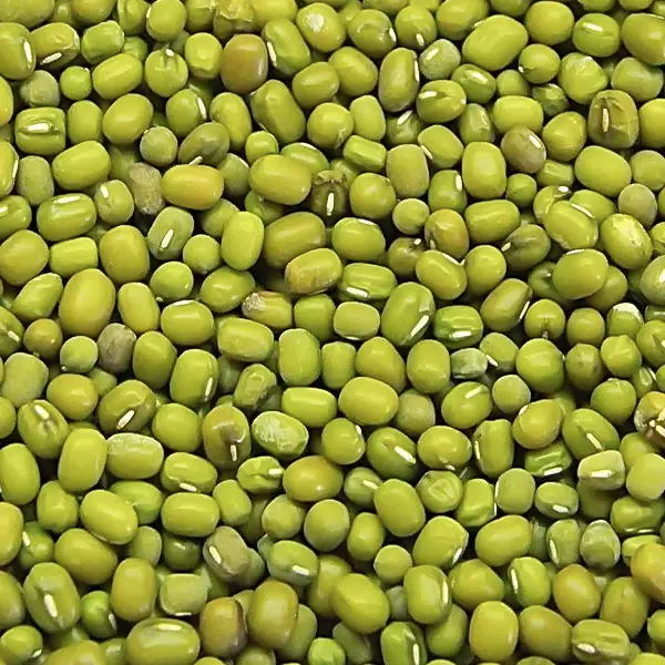Poroto Mung - Cultivos de Suriyaco S.R.L.